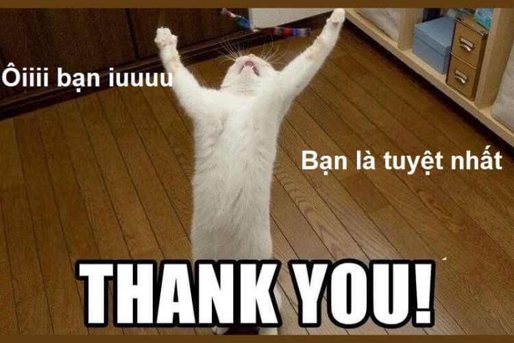 meme cảm ơn-23.jpg