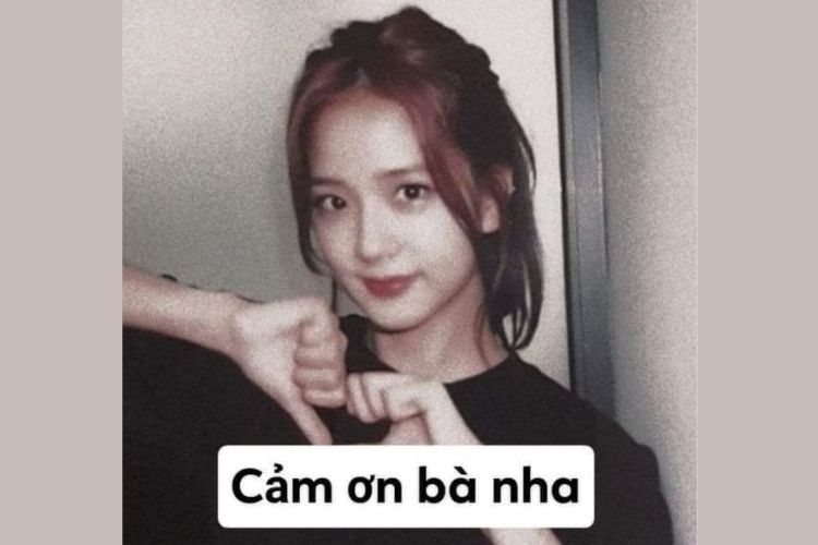 meme cảm ơn-8.jpg