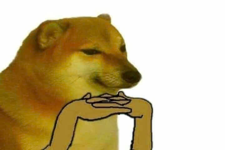 meme chó Shiba-21.jpg