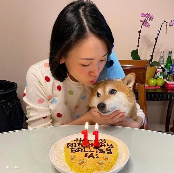 meme chó Shiba-30.jpg