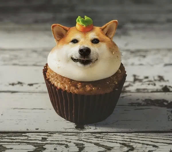 meme chó Shiba-31.jpg