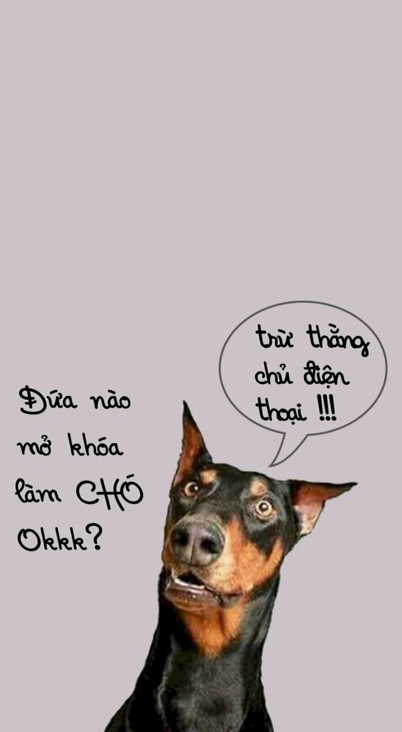 Meme cute có chữ ảnh 30