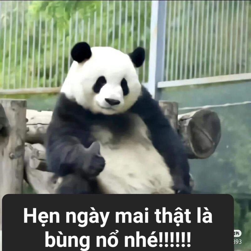 Meme cute có chữ ảnh 31