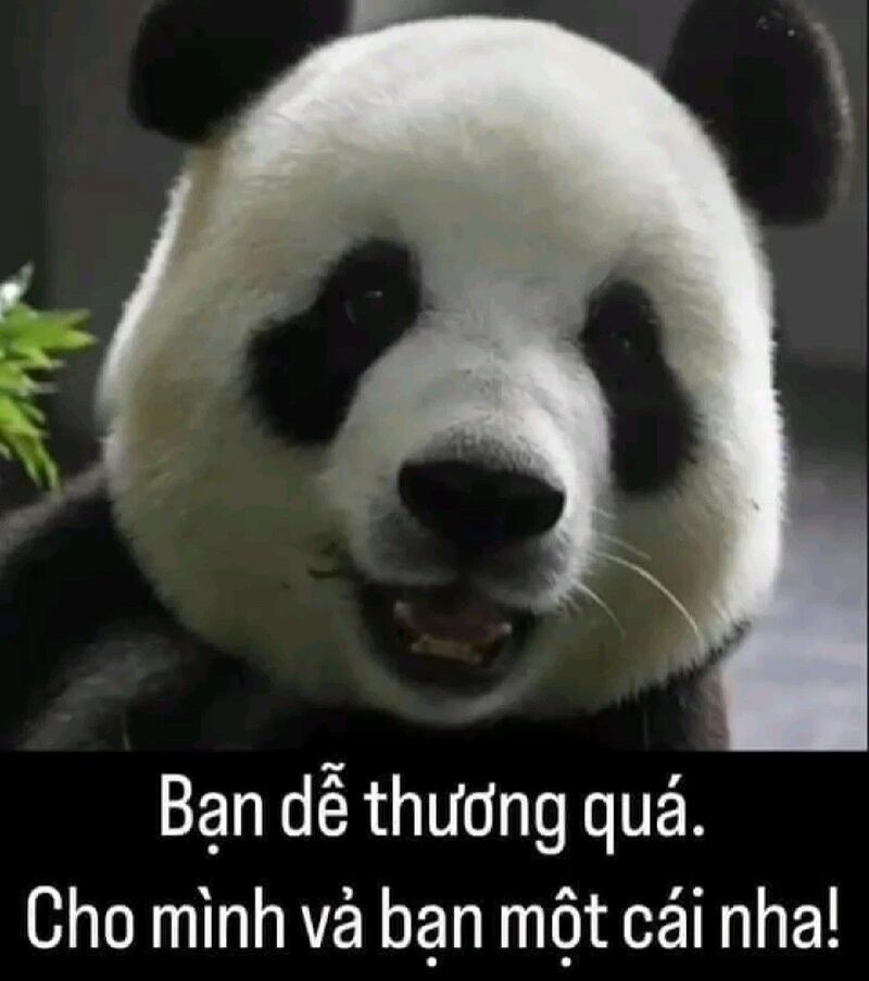 Meme cute có chữ ảnh 32