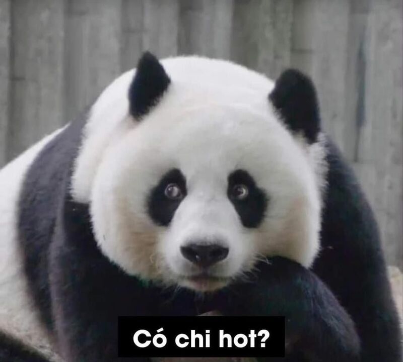 Meme cute có chữ ảnh 35