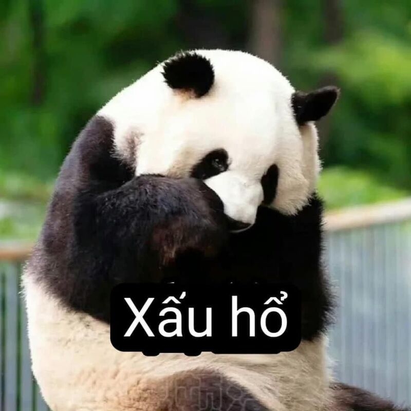 Meme cute có chữ ảnh 40