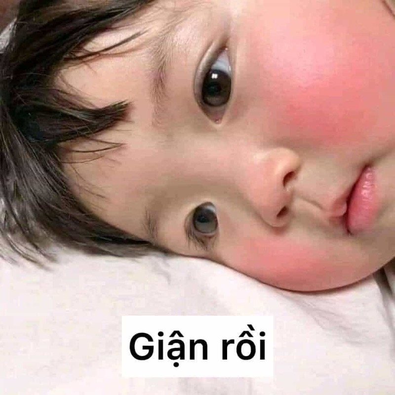 Meme cute có chữ ảnh 6