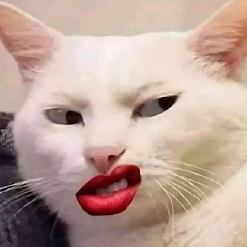 meme đánh giá (ảnh 10)