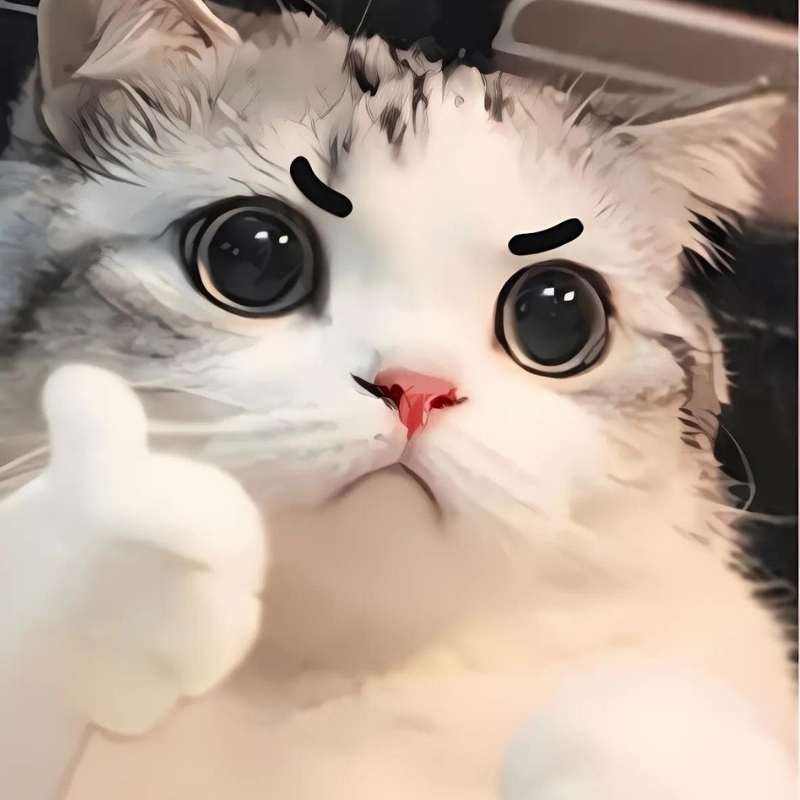 meme đánh giá (ảnh 11)