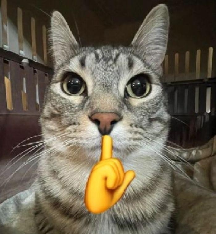 meme đánh giá (ảnh 12)
