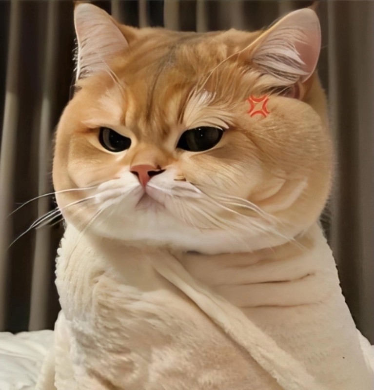 meme đánh giá (ảnh 13)