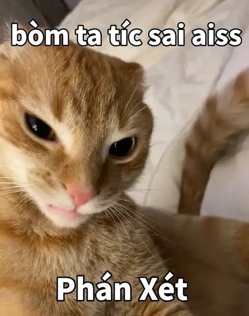 meme đánh giá (ảnh 8)