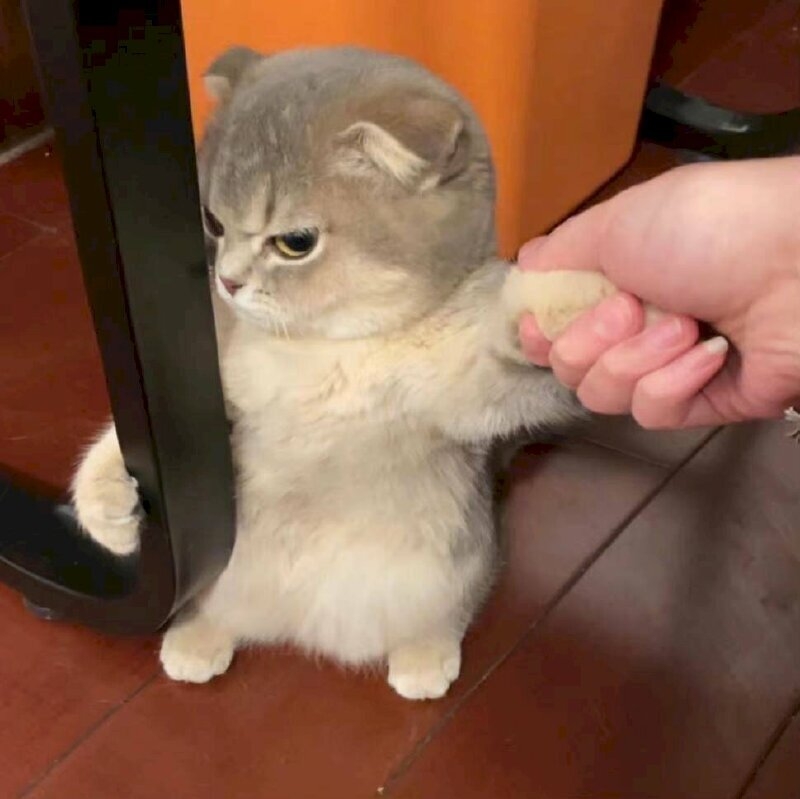 Meme dỗi ảnh 20