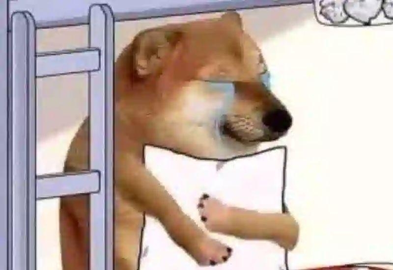 Meme dỗi ảnh 23