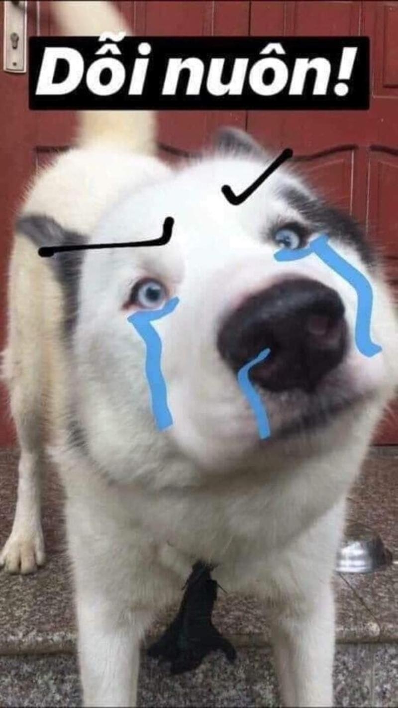 Meme dỗi ảnh 25