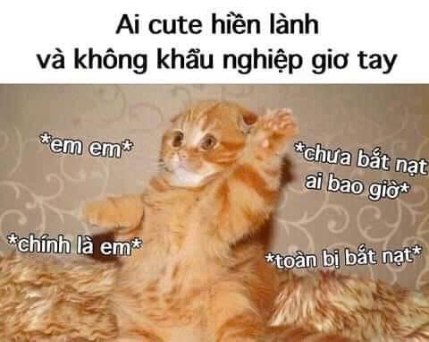 Cười vỡ bụng với bộ sưu tập meme giơ tay siêu hài hước: Bạn đã xem hết ...