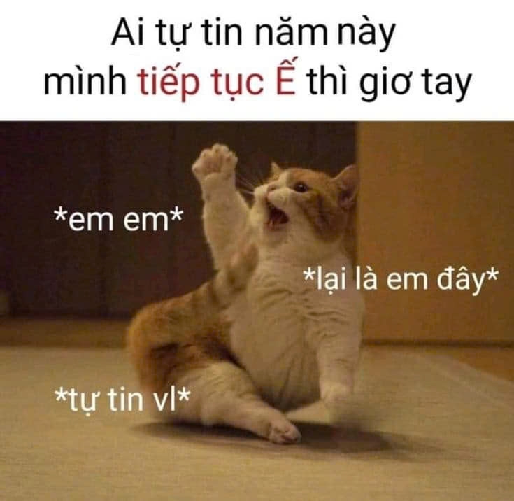 meme giơ tay-6.jpg