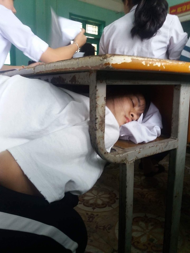 Meme ngủ ảnh 2