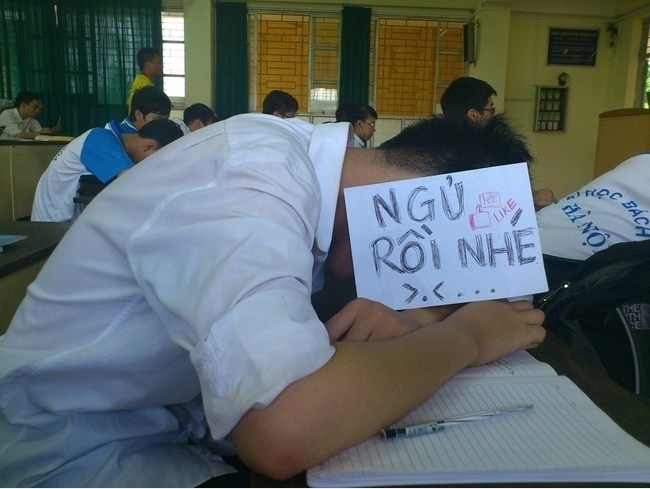 Meme ngủ ảnh 3