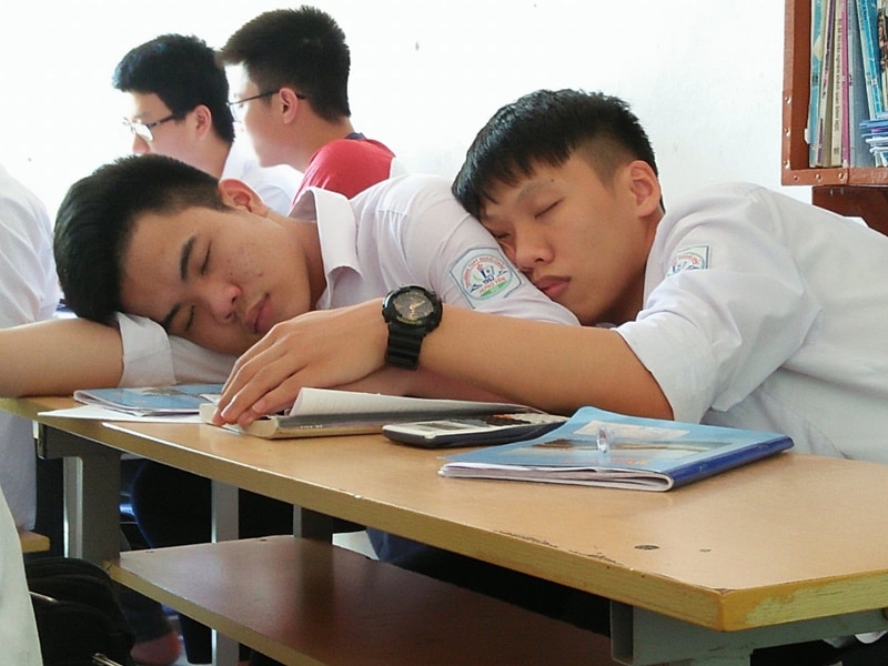 Meme ngủ ảnh 4