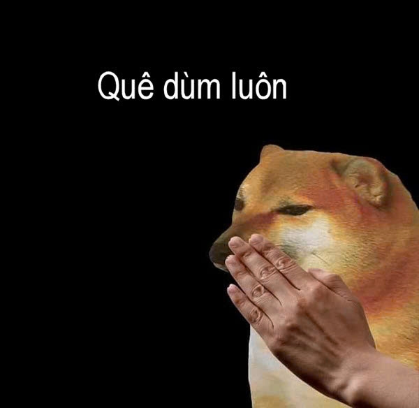 meme quê 14.jpg