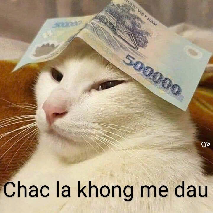 meme tiền11.jpg
