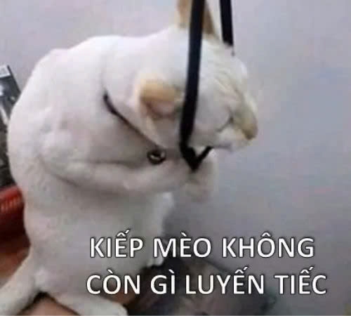 meme trầm cảm-10.jpg