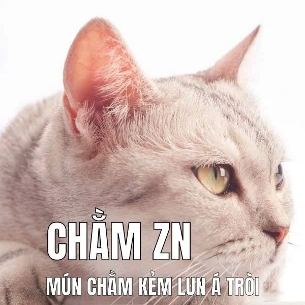 meme trầm cảm-13.jpg