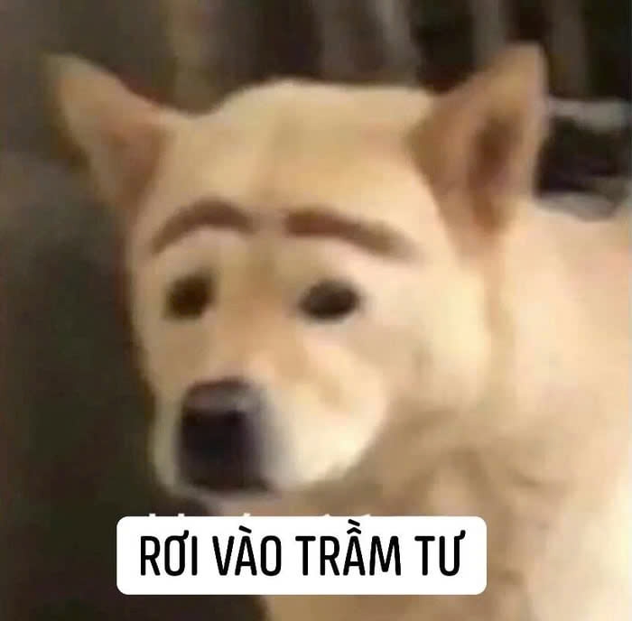 meme trầm cảm-3.jpg