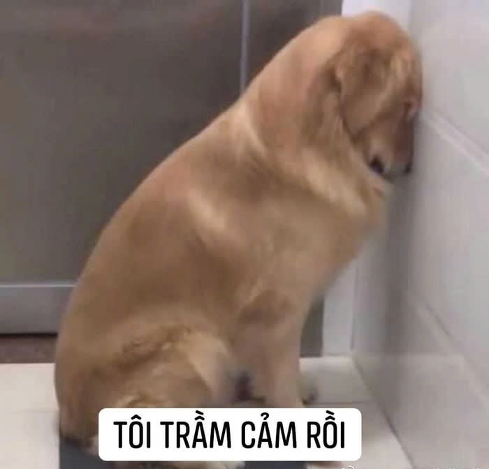 meme trầm cảm-6.jpg