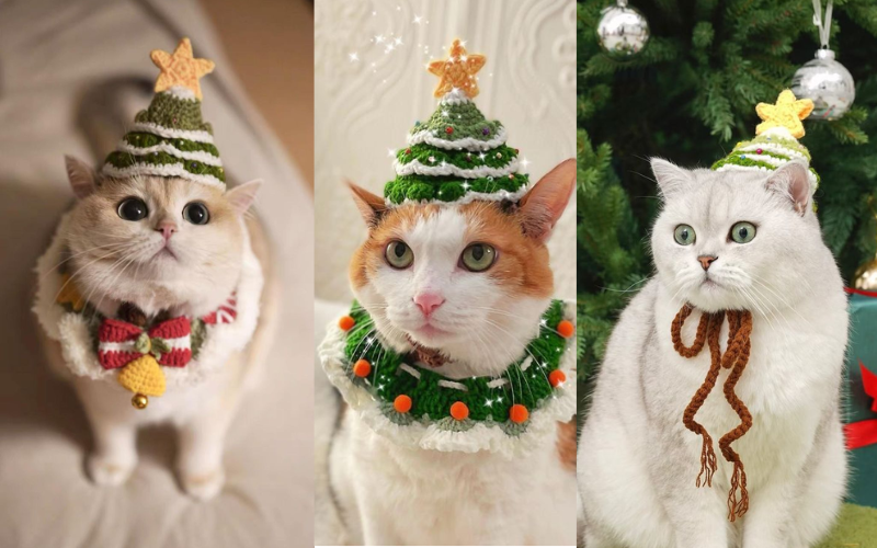 mèo noel meme (ảnh 7)