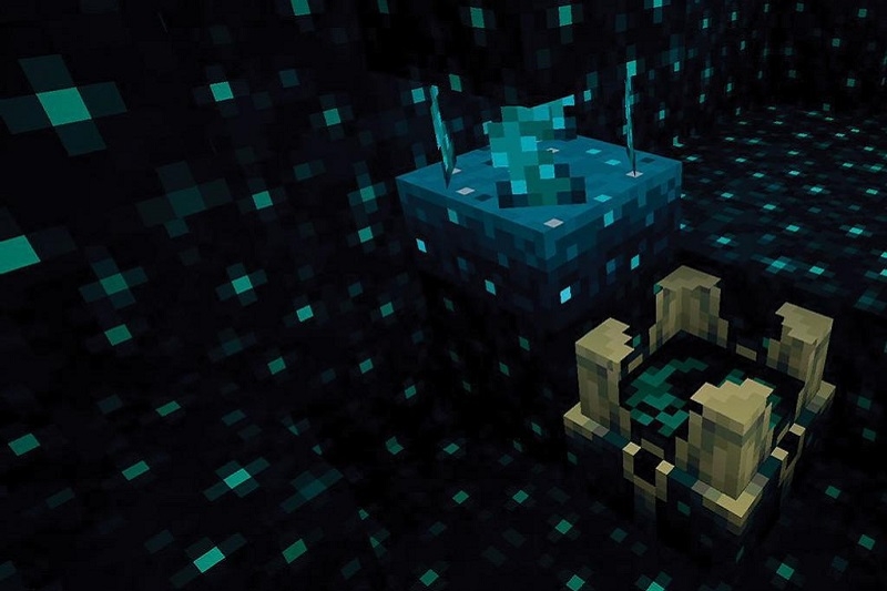 Minecraft 1.19.81 ảnh 3