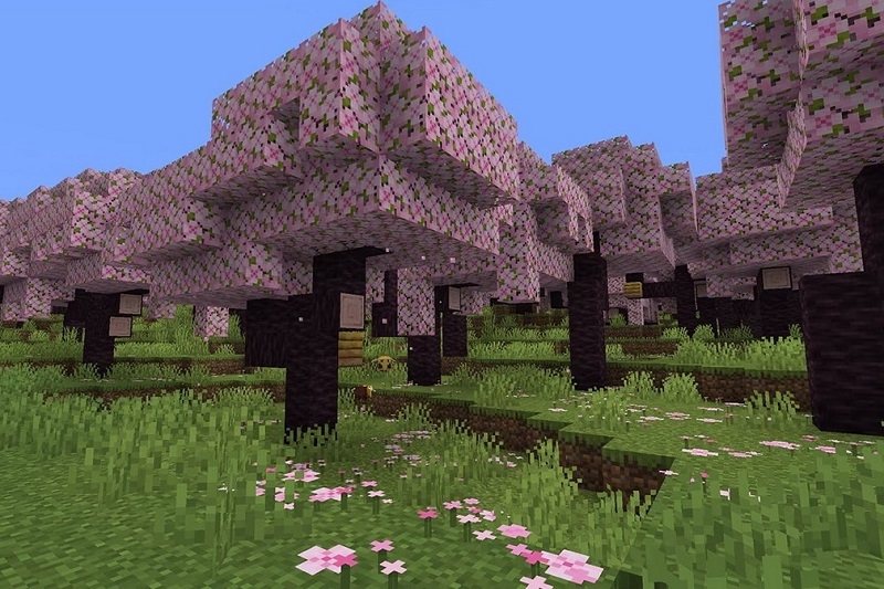 Minecraft 1.20.15 ảnh 2