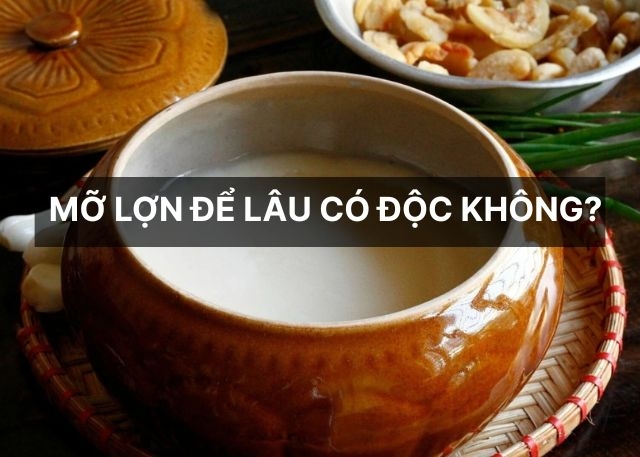 Mỡ lợn để lâu có độc không? Hướng dẫn cách thắng mỡ ngon, để lâu và đảm bảo an toàn