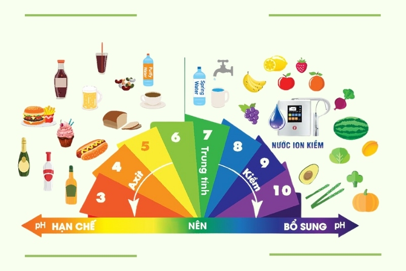 Môi trường kiềm là gì? Môi trường kiềm trong cơ thể là gì?