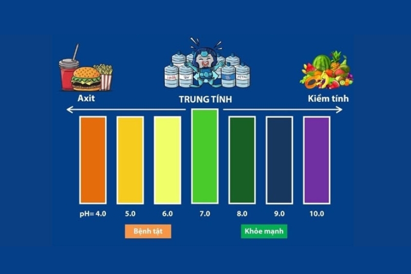 Vai trò của môi trường kiềm trong cơ thể