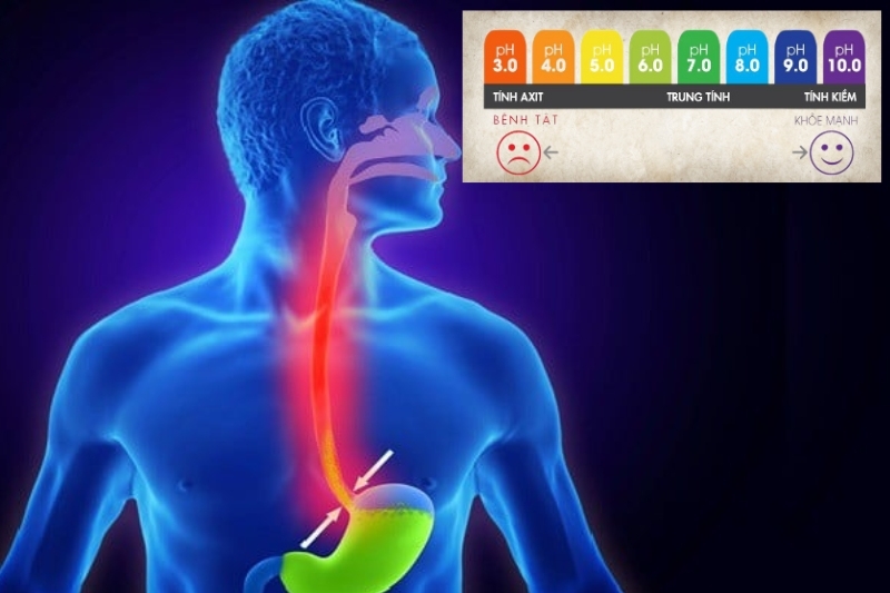 Tác hại khi cơ thể thiếu môi trường kiềm
