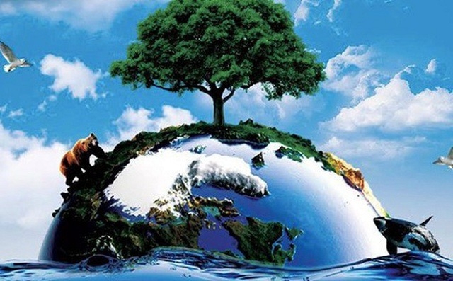 Môi trường sống là gì? (hình 1)