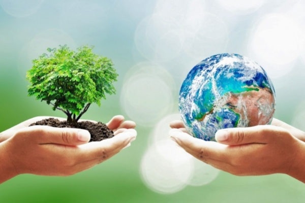 Môi trường sống là gì? (hình 5)