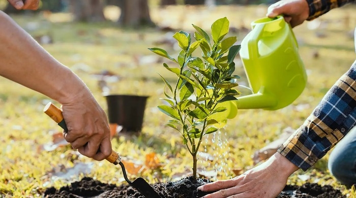 Môi trường sống là gì? (hình 6)