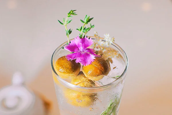 món ngon từ sấu