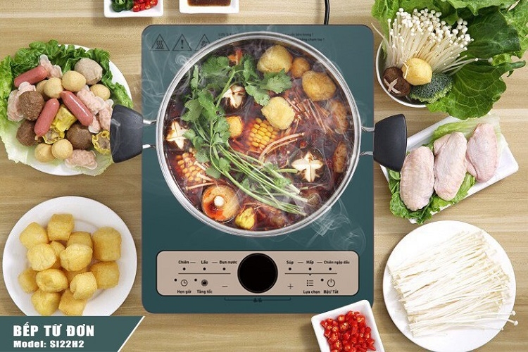 Mua bếp từ ở đâu tại Vĩnh Phúc? (Hình 3)