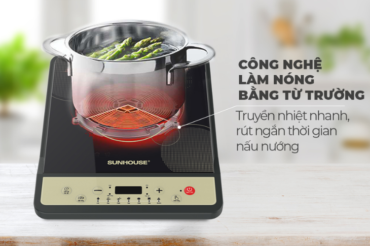 Mua bếp từ ở đâu tại Tân Phú TPHCM hình 3