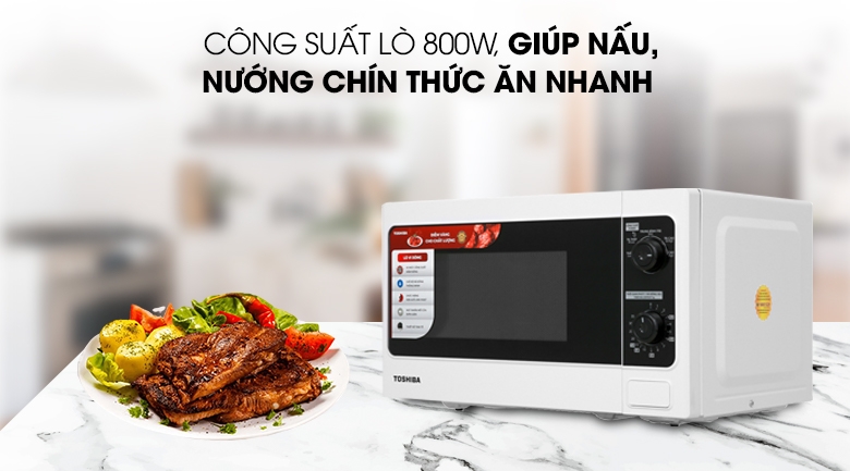 lo vi song toshiba 20 lit er sm20w1vn