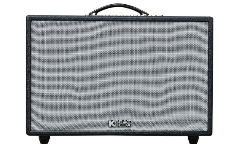 Mua loa ACNOS ở đâu uy tín - hình 9