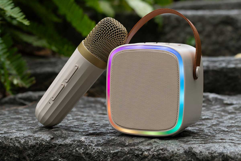 mua loa Icore ở đâu uy tín - hình 2