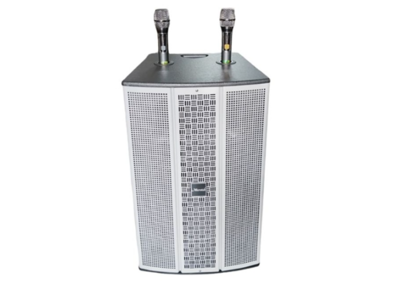 Mua loa Microtek ở đâu uy tín? - hình 6