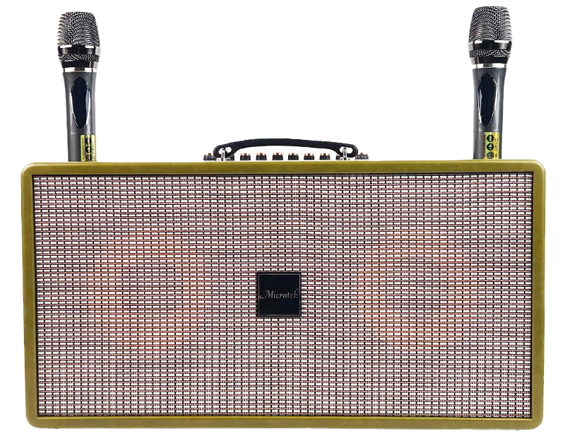 Mua loa Microtek ở đâu uy tín? - hình 7