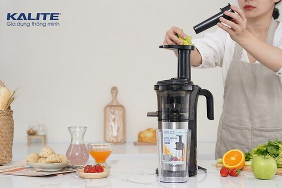 Mua máy ép trái cây ở đâu tại Bắc Giang - Ảnh 4