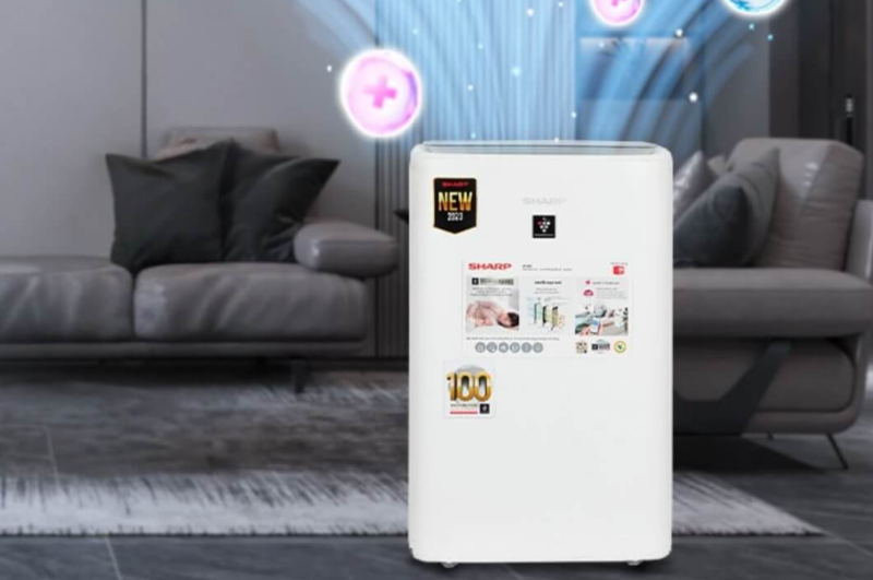 Mua m&aacute;y lọc kh&ocirc;ng kh&iacute; Sharp ở đ&acirc;u uy t&iacute;n? - h&igrave;nh 13